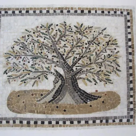 Barnaba Edera *