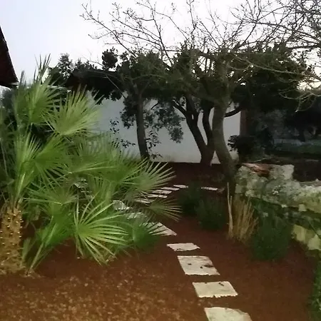 Barnaba Edera